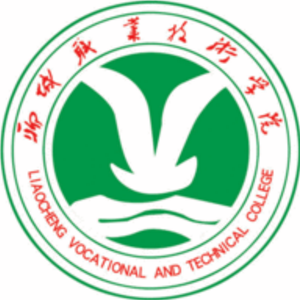 聊城职业技术学院中外合作办学专业有哪些?