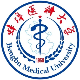 安徽二本大学有哪些学校