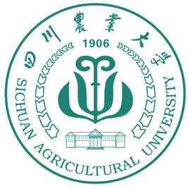 雅安211大学排名一览表