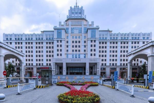 2020年黑龙江艺术类投档分数线（本科第一批B段）